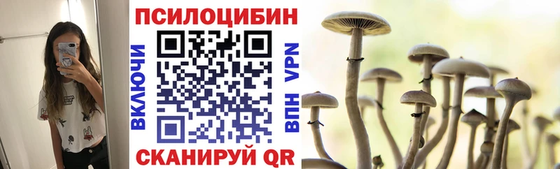 Галлюциногенные грибы Psilocybe  Октябрьский 