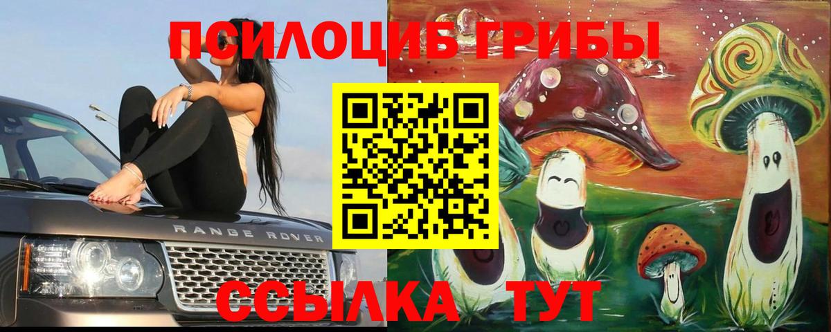 Галлюциногенные грибы мухоморы Октябрьский