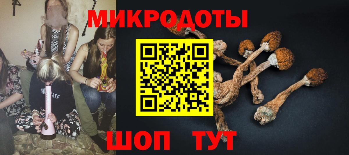 Октябрьский  Псилоцибиновые грибы мицелий  Вход с VPN 