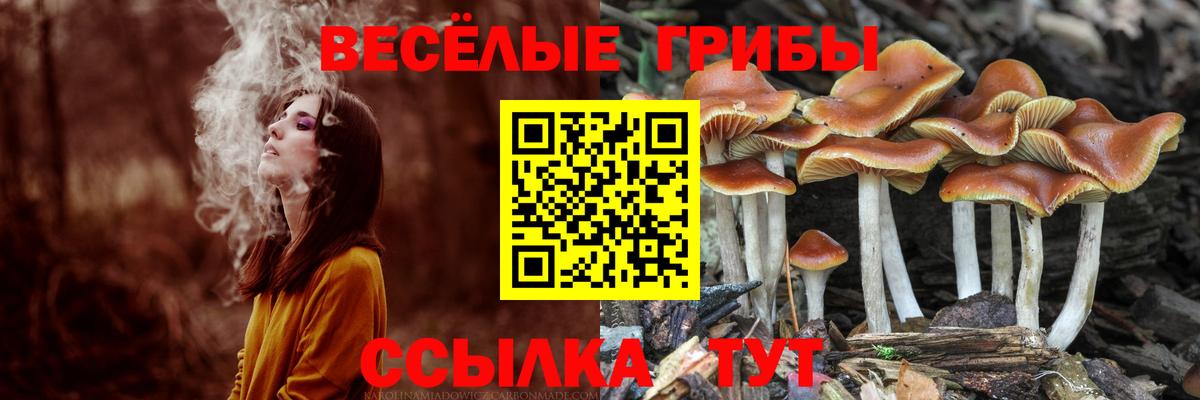 Бошки Шишки Октябрьский