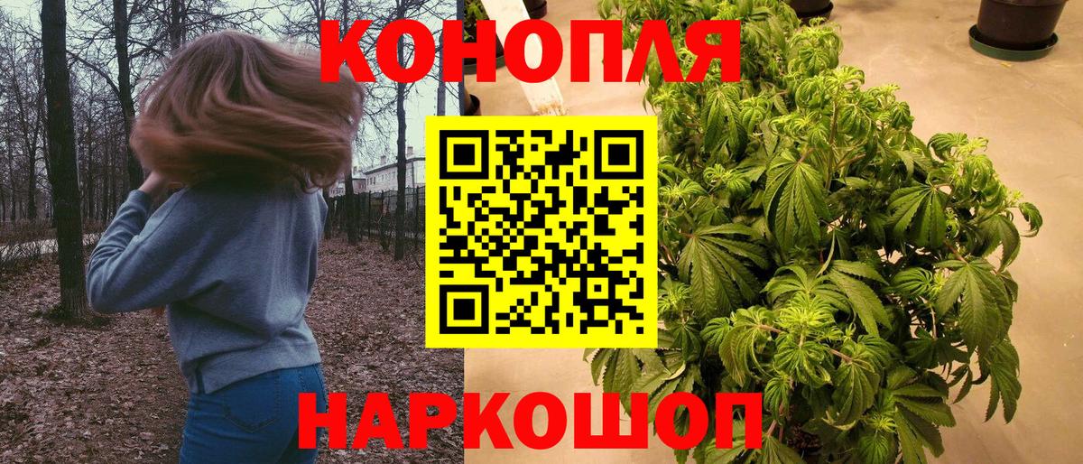 Канабис OG Kush Октябрьский